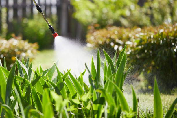 24/7 Emergency Mosquito Control experts in Sumter, SC